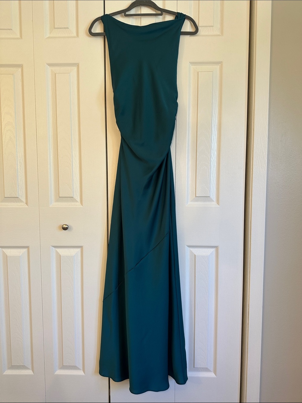 Raina Lady Pipa Elegant Evening Dress - Picture 3 of 11